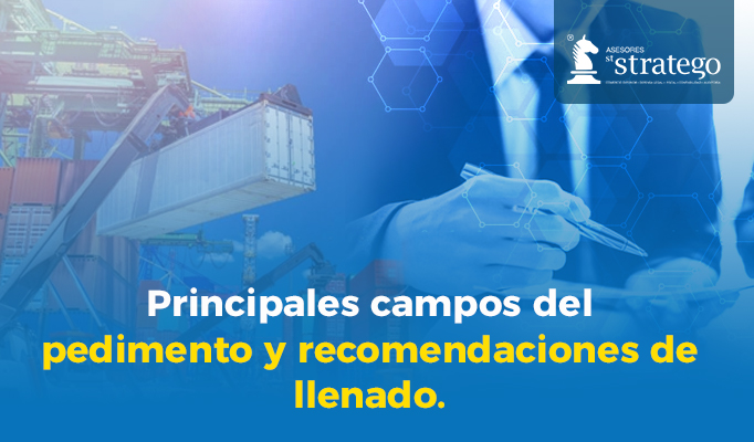 Principales Campos Del Pedimento Y Asesores Stratego 4853